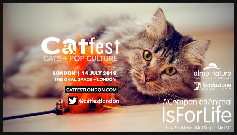 CatFest, a Londra il Festival dei Gatti