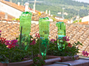 piante irrigate con bottiglie capovolte