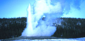 Geyser