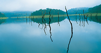 Crociere. Al largo del Kerala