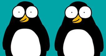 Una bella coppia di pinguini omosessuali