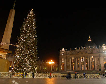 Albero di Natale in Piazza San Pietro