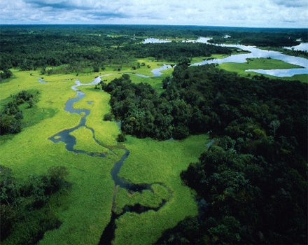 Brasile foresta amazzonica