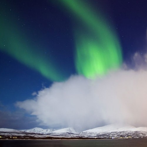 Norvegia aurora boreale