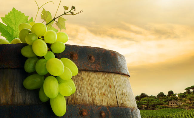 Botte di vino con grappolo d'uva