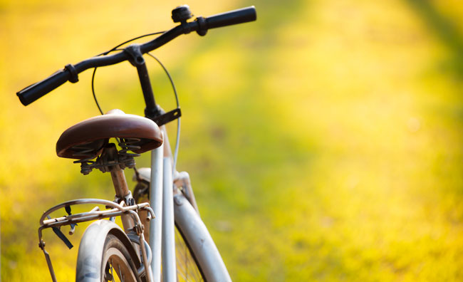 Bicicletta in campagna