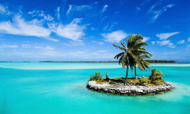 isola, atollo, oceano, palma