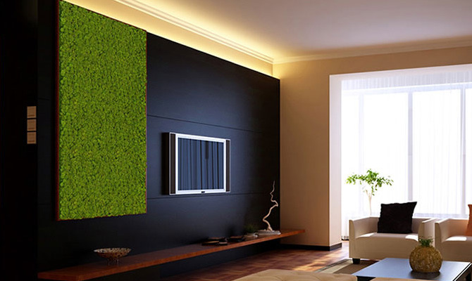 Arredo casa: green è meglio