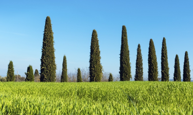 In Toscana per il risveglio della natura