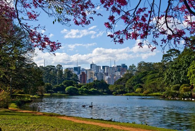 15 Ibirapuera Park in Sao Paulo