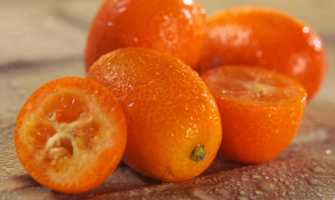 Kumquat, il ‘mandarino cinese’
