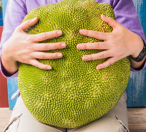 Un grosso jackfruit