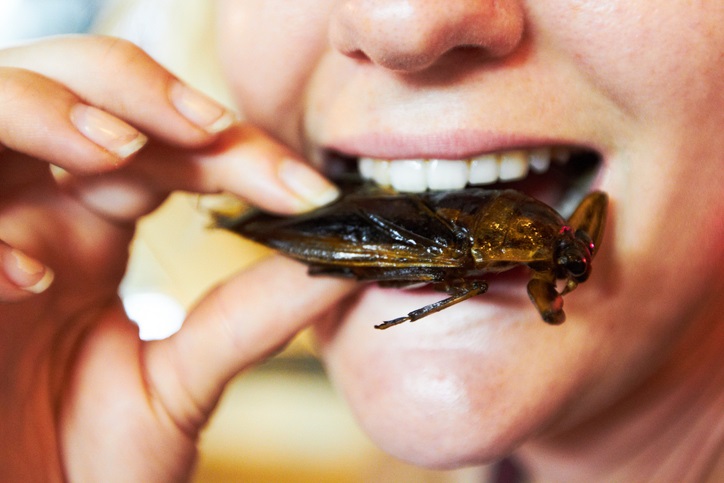 Nel 2050 mangeremo soltanto insetti?