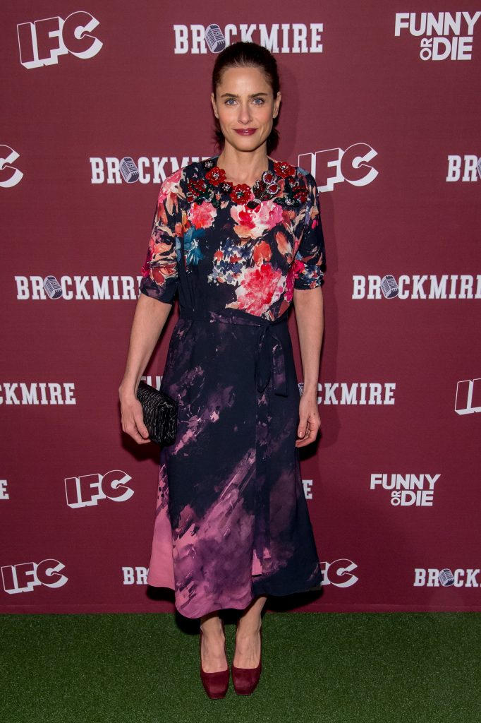 Amanda Peet allo screening di "Brockmire" a New York. Photo by Roy Rochlin/FilmMagic