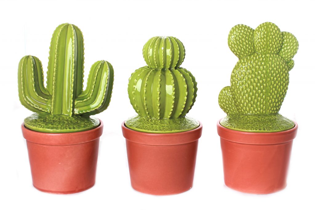 Il cactus ispira il design. Colore e texture vegetali