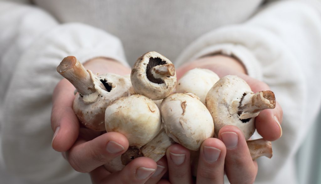 Mangiare funghi per dimagrire. Lo dicono gli scienziati