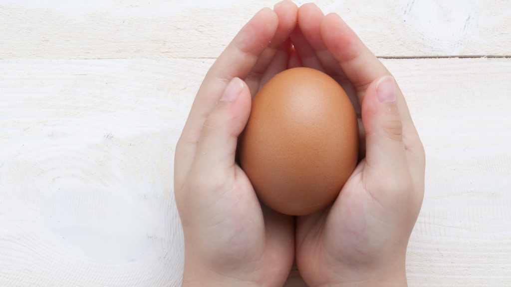 Un uovo al giorno aiuta i bimbi a crescere