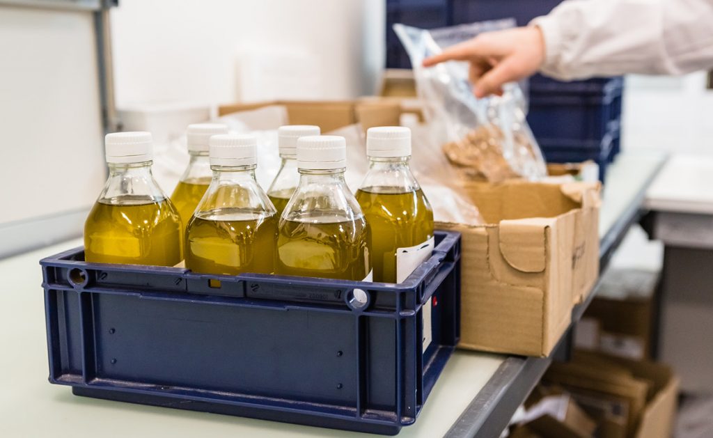 Olio extravergine d’oliva, 5 cose fondamentali da sapere