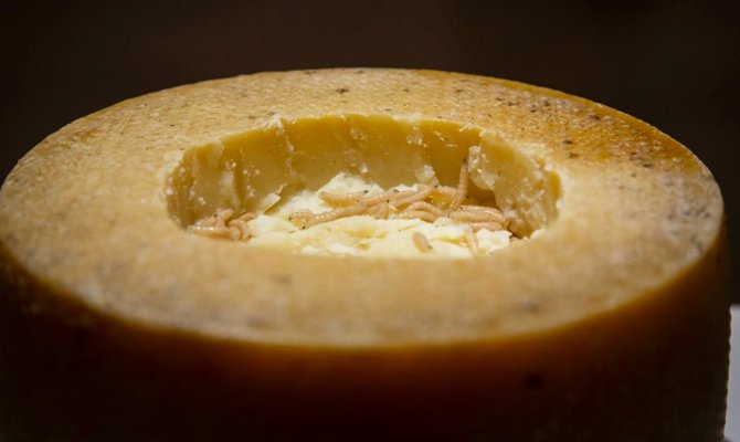 Malmo, il formaggio sardo al museo dei cibi disgustosi