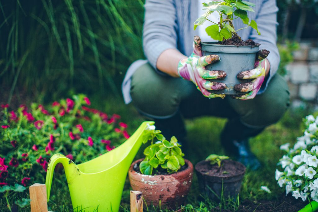 Tutto ciò che si deve sapere sul green gardening