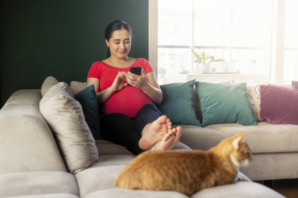 Come gestire la gravidanza con un gatto in casa